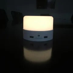 Luz LED Mood con Power Bank GL-150