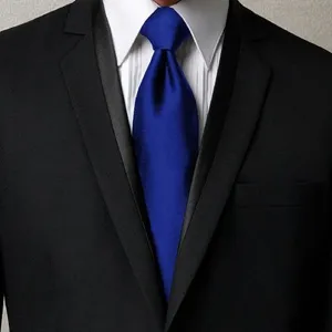 plain mens silk tie necktie