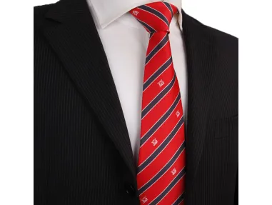 Swiss international air tie customization-[Handsome tie]