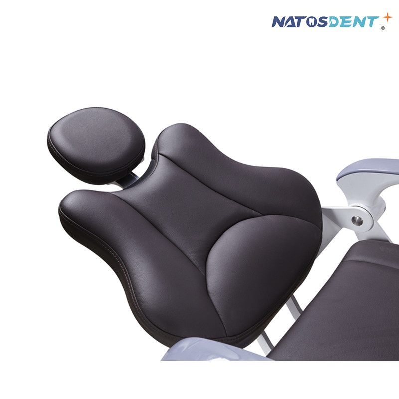 NTS-A4800-I Implant Dental Chair For Sale