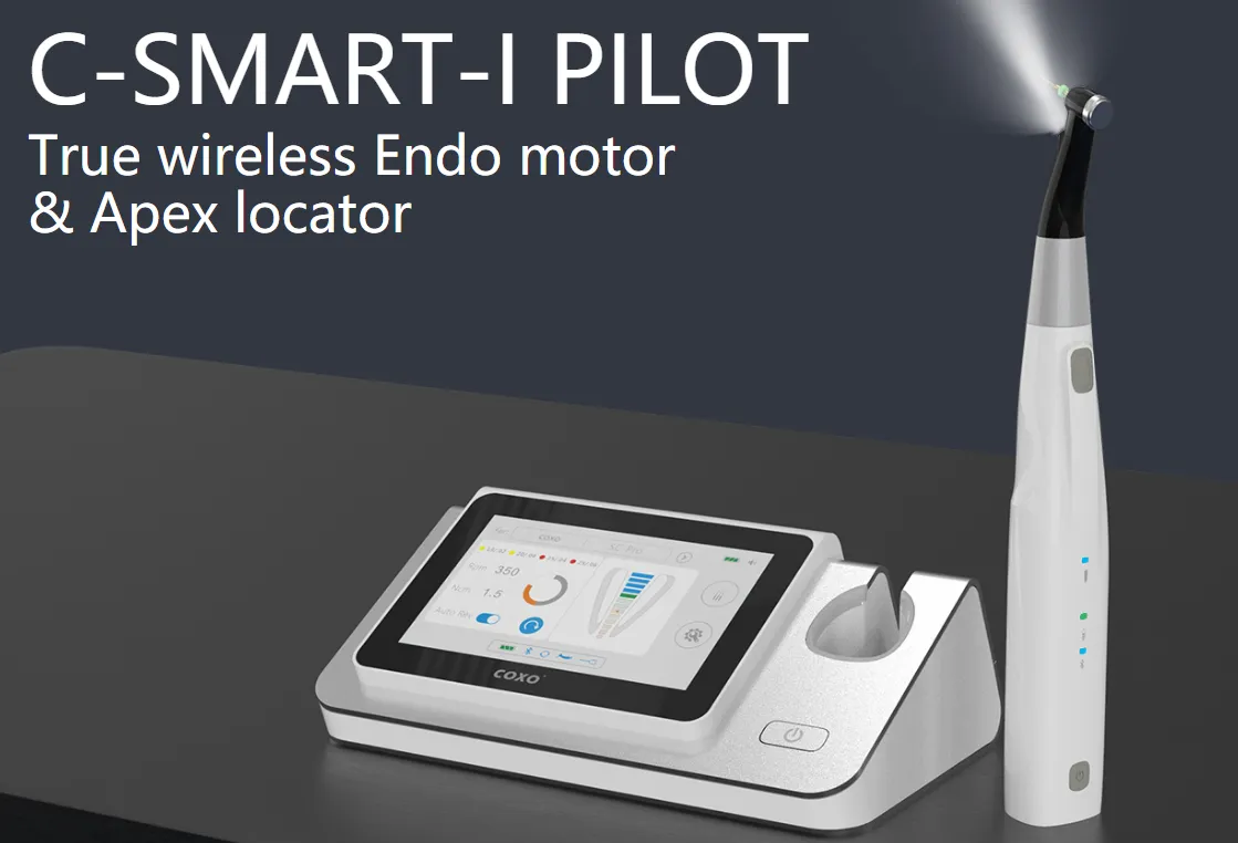 Endo Motor With Apex Locator