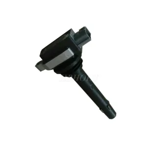 Ignition Coil F01R00A023