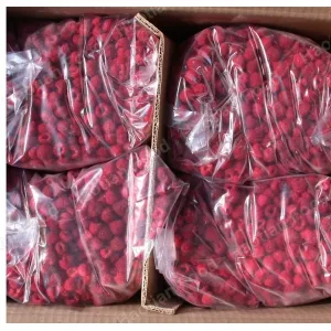 Frozen Mushroom, Mushroom in Brine, Dehydrated Mushroom Supplier