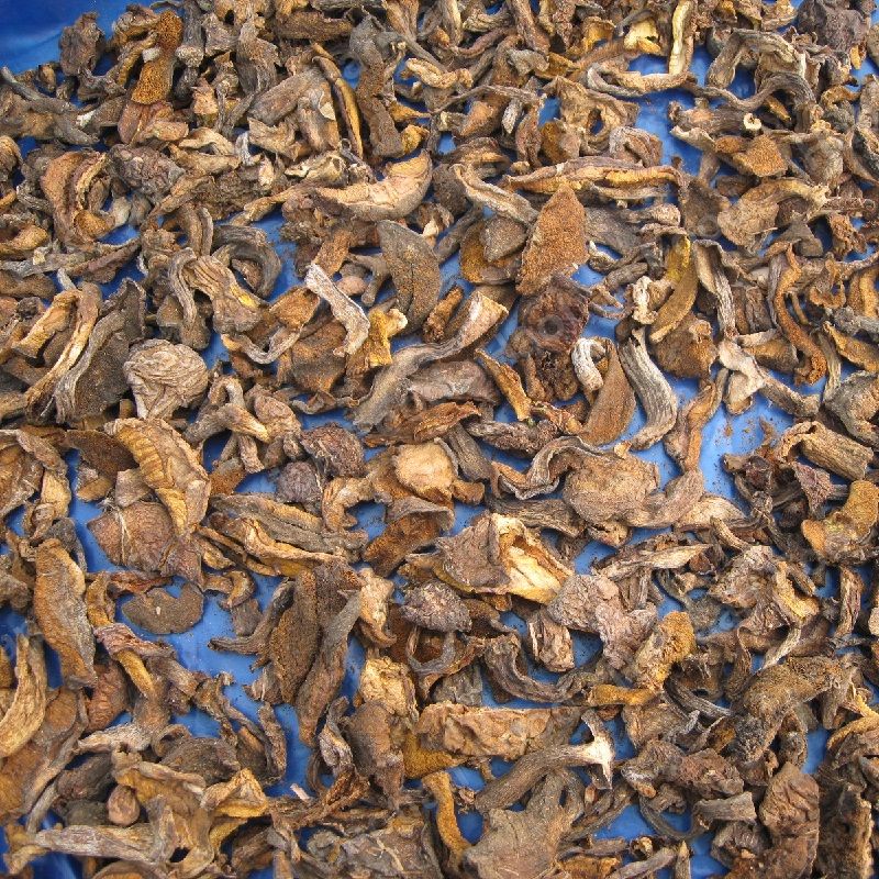 Dried Suillus Granulatus strips