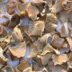 Dried Pleurotus Ostreatus cubes