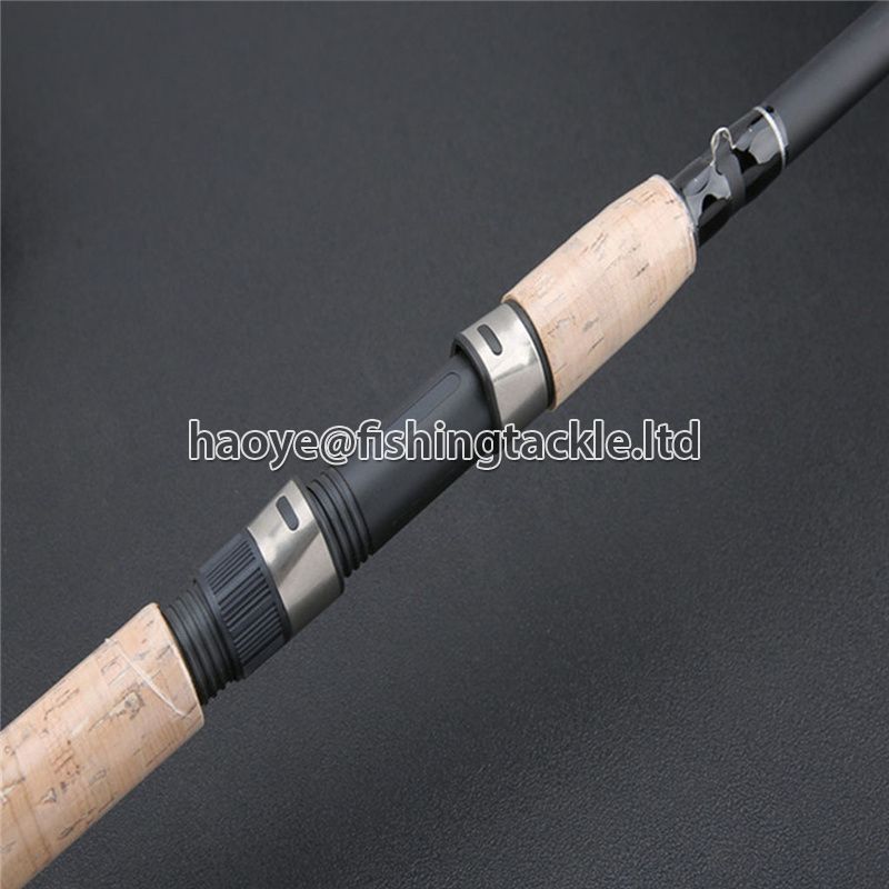 Rotating Carp CARP