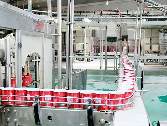 Linea di produzione di pasta di pomodoro