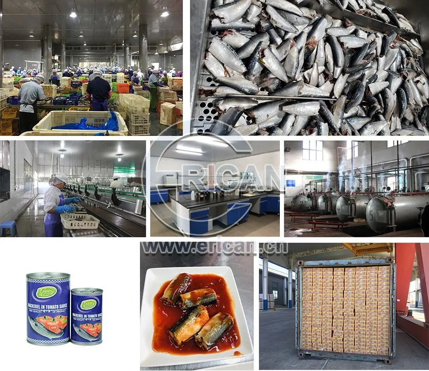 Factory price Canned Fish Tin mackerel in Tomato Sauce 155g/425g