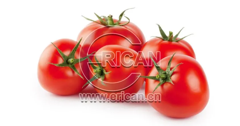 Factory Manufacturer 340g Tomato Ketchup with Plastic Bottle
