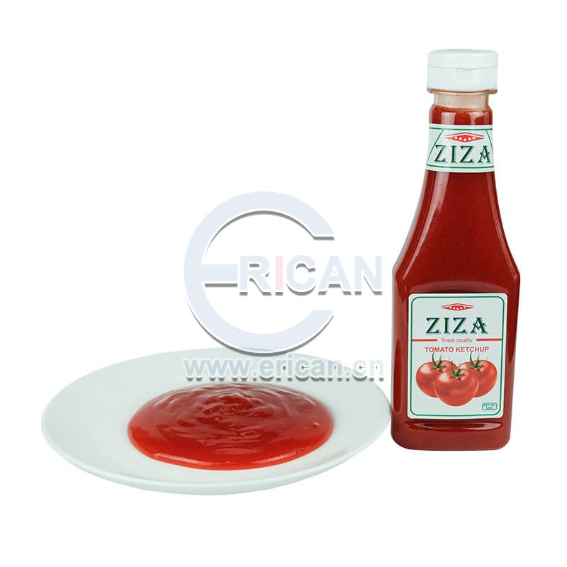 Factory Manufacturer 340g Tomato Ketchup with Plastic Bottle