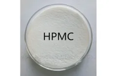 Effects of HPMC on Gypsum Products