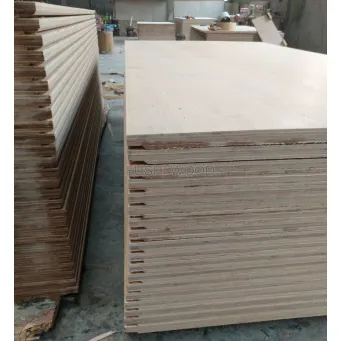 Container Plywood