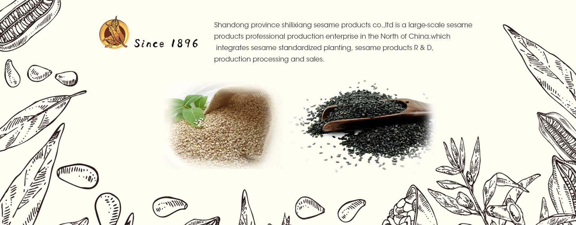 Shandong Province Shilixiang Sesame Products Co., Ltd.