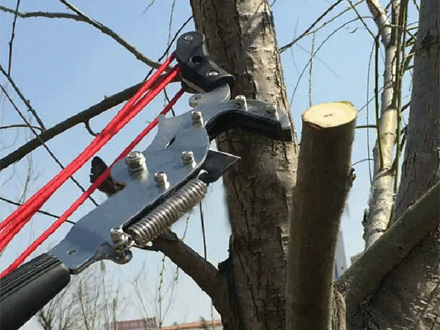Why Are Telescopic Tree Pruners Essential for Garden Maintenance?
