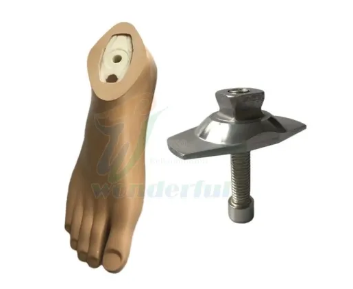 What are the different types of partial foot prosthetics?