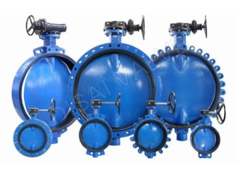 Why are U-Type Butterfly Valves Gaining Popularity in The Oil And Gas Industry?