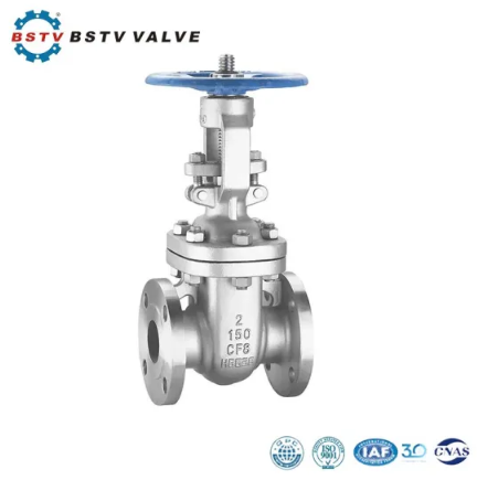 ASNI Stainless Steel Globe Valves