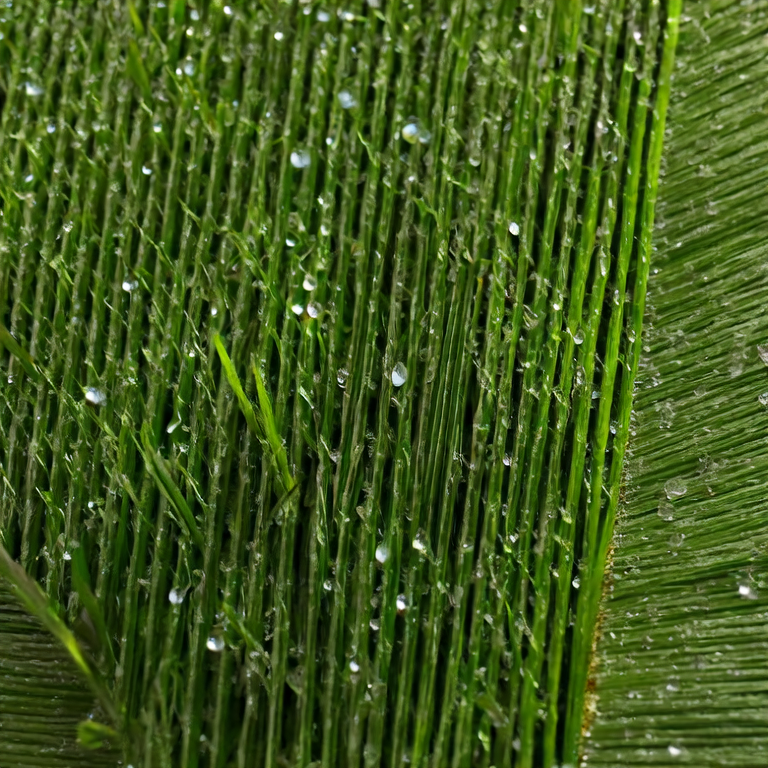 Safety Benefits of Artificial Turf