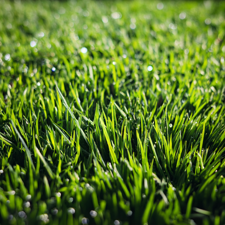What Does Artificial Turf Cost? Understand the Factors and Find the Best Deals