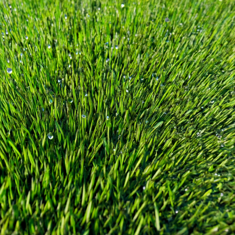 Can You Reuse Artificial Turf