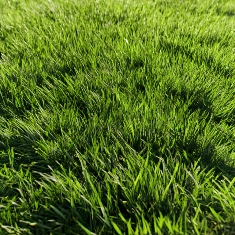Artificial Turf Installation