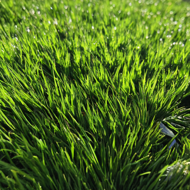 What Are the Advantages and Disadvantages of Artificial Grass? Here's What You Need to Know!