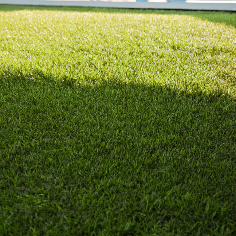 Artificial Turf Image