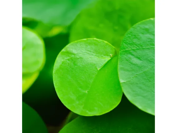 How to expand from sweaters into full private label knitwear lines