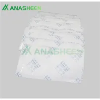 What Is an Absorbent Food Pad and Why Is It Important in Food Packaging?