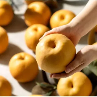 Select the most fragrant fruit that is free of bruising and with little to no brown spots. Ripe Asian pears are hard and do not soften. They are ready to eat when purchased. Ya pears are known for keeping well. Store pears for about 4 days at room temperature or up to two weeks in the refrigerator.