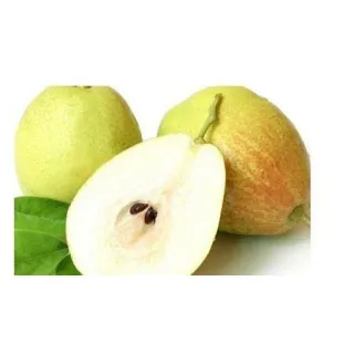 Yellow Pear are rich in fiber, vitamin C, and other important nutrients.