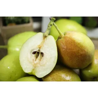 Crown Pear are sometimes used in facial masks for their moisturizing properties.
