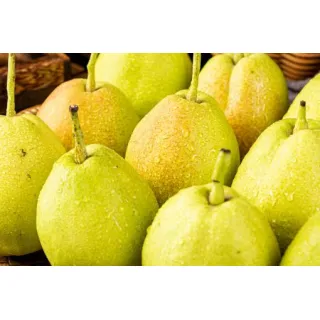 Crown Pear can be used to make a variety of fruit salads and other dishes.