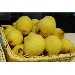 Pears are a versatile fruit that can be eaten raw or cooked. They are often used in desserts like pies, tarts, and crumbles, or as a sweet addition to savory dishes like salads, sandwiches, and cheese boards. They are also commonly used to make jams, jellies, and preserves.