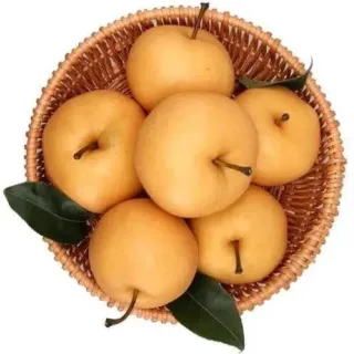 Huangguan Pear are a popular fruit for pickling and preserving.