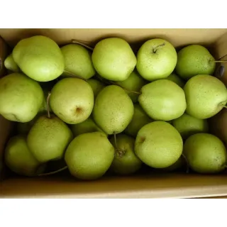 Fengshui Pear are a popular ingredient in Asian cuisine, particularly in dishes from China and Japan.