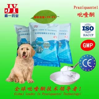 Praziquantel is a medication that is commonly used to treat parasitic infections in humans and animals.
