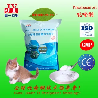 Praziquantel is a medication used to treat parasitic infections in humans and animals.