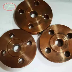 Special material flanges