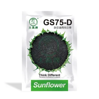 GS75-D Sunflower
