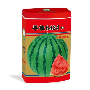 Zao Jia 8424 Watermelon