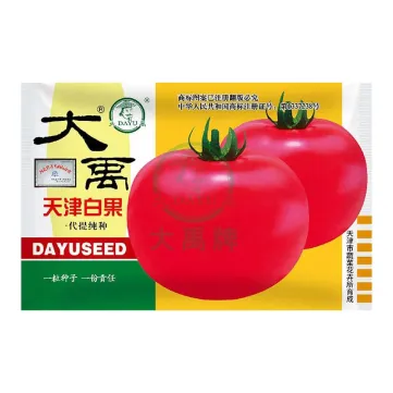 Infinite growth type pink flat round Tomato seed varieties - Wholesale tomato seed