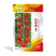 Early maturing fruit tomato variety cherry tomatoes - Wholesale tomato seed