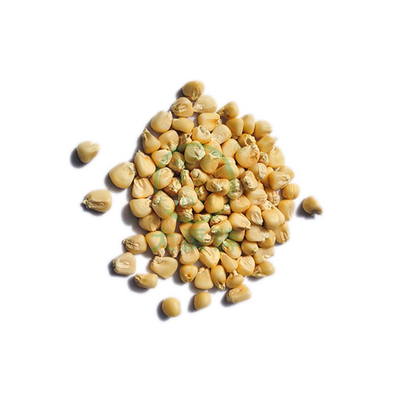 Farina Di Mais Rosso Di Salvia - Foto 3