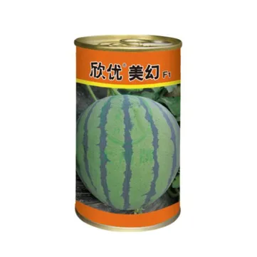 Xin You Mei Huan Watermelon