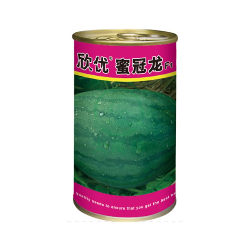 新品未開封 Bee RJRTC Watermelon 2個セット Amazon.co.jp: OKURUX [2袋セット] 金城製菓 ミックスゼリー