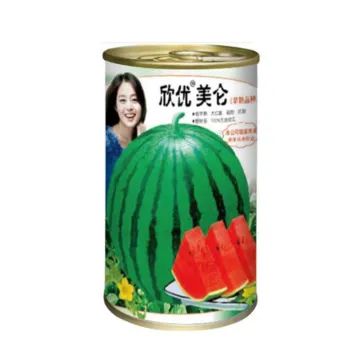 Xin You Mei Lun Watermelon