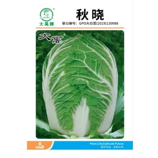 Qiu Xiao Chinese Cabbage