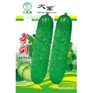 Qi Jian Cucumber