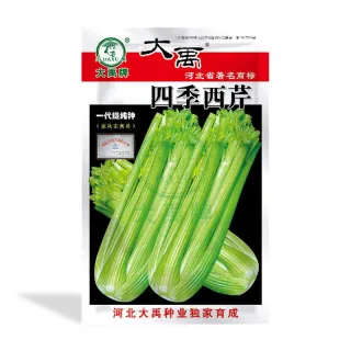 Four Season Celery